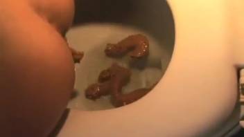 Poop ladies, sequentially flushed into the bowl