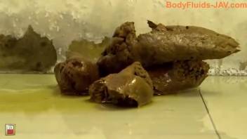 Soaked Asian chick defecates in the shower