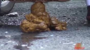 Japanese female defecating on the roadway